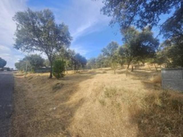 ¡Descubre la oportunidad de tu vida con este espectacular terreno en venta!
