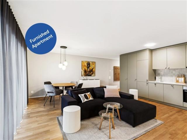 Design Apartments im Lisbon Style Direkt am Bahnhof Muttenz