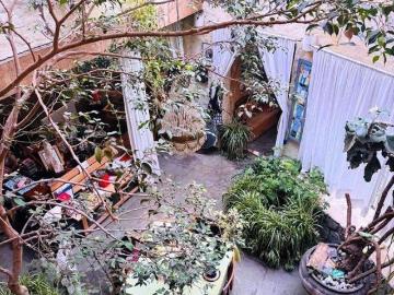 DESIERTO DE LOS LEONES, Residencia inserta en un oasis dentro de la CDMX