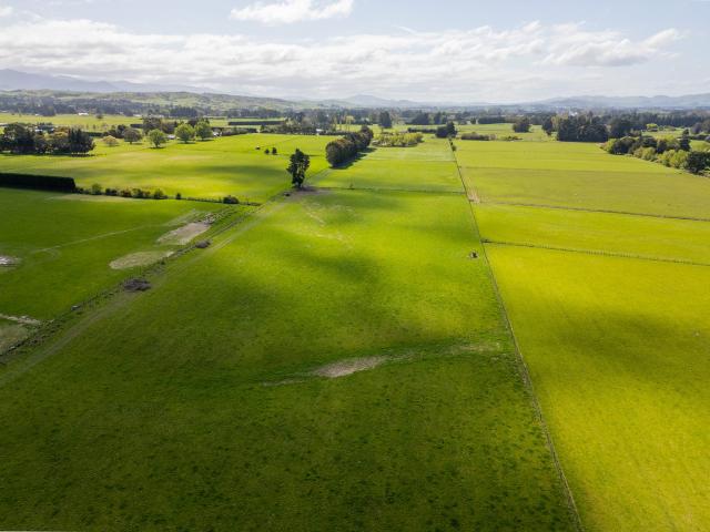 Desirable Farmlet with Income!