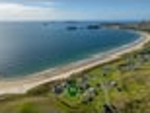 DESIRABLE OPITO SANDS SPOT