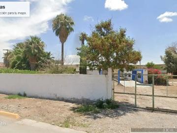 Despepite en venta