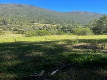 ¡Despierta en la Sierra! Terreno Virgen en Venta / Wake Up in the Sierra! Raw Land for Sale!