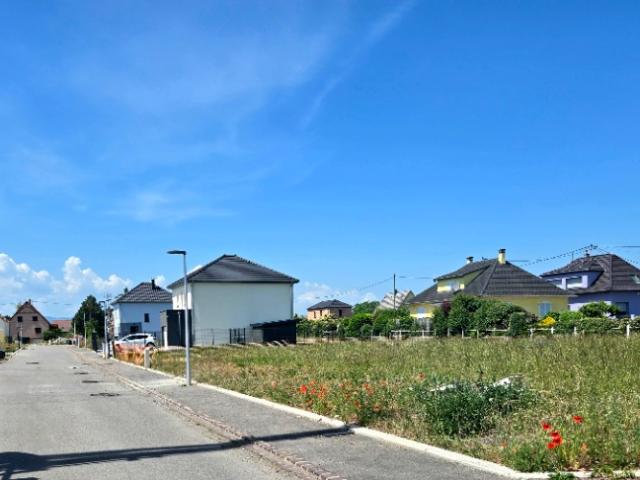 Dessenheim Vente Terrain 68