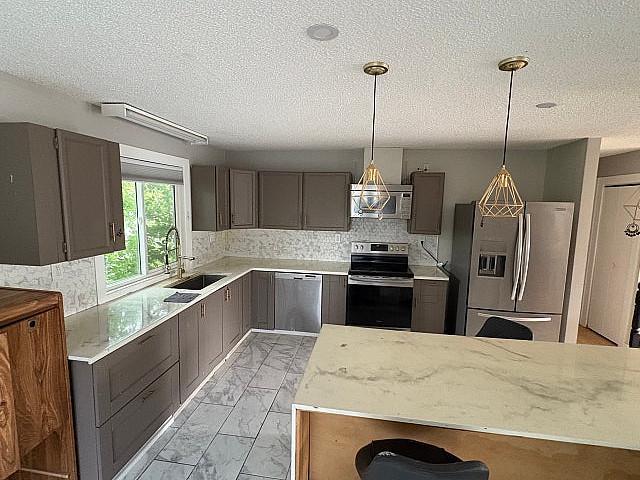 Detached House Legal Basement | Double Garage | Income Property