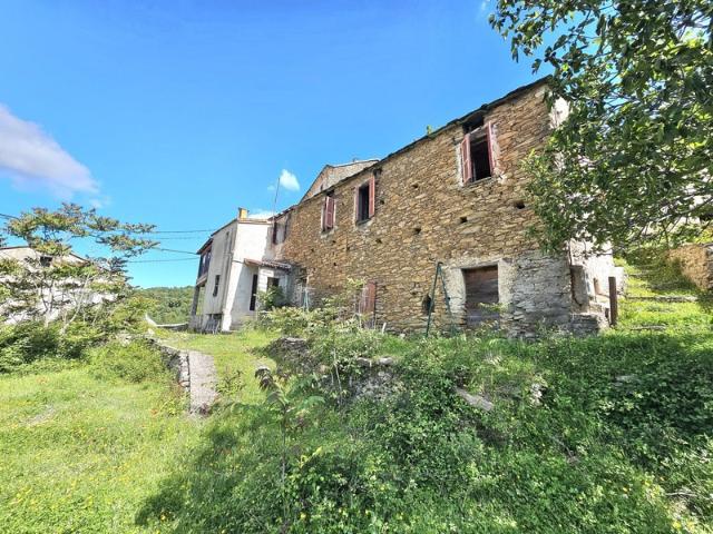 Deux maisons de village en pierre, 150 m2 à rénover avec jardin et caves aménageables à SAN LORENZO, HAUTE CORSE 20