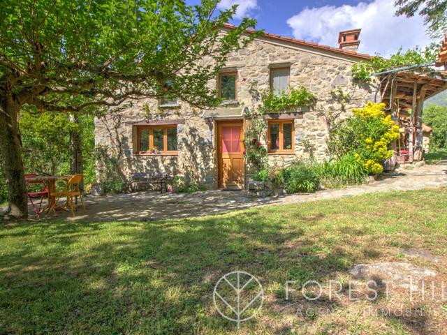 Deux beaux mas avec gîtes, rivière et cadre naturel exceptio. 300m² Saint Laurent de Cerdans