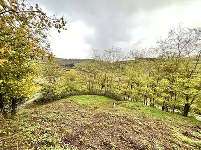Deux Grosnes 69430 Achat / Vente terrain