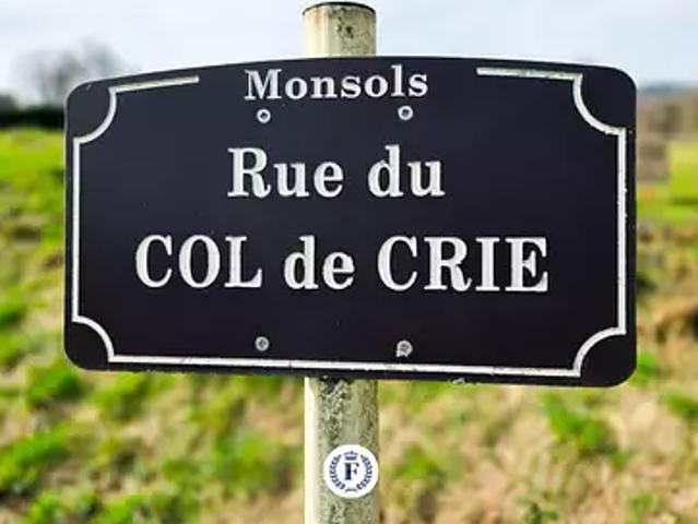Deux Grosnes 69430 Achat / Vente terrain