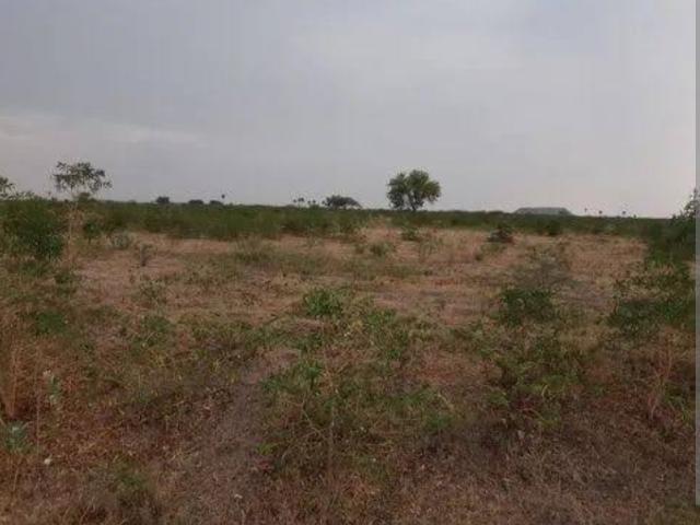 Devanahalli, North Bangalore 10 Acre Plot in Devanahalli Bangalore Listing ID: #10288