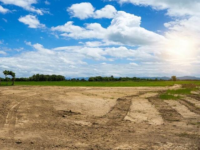 Devanahalli, North Bangalore 24 Acre Plot in Devanahalli Bangalore Listing ID: #10082
