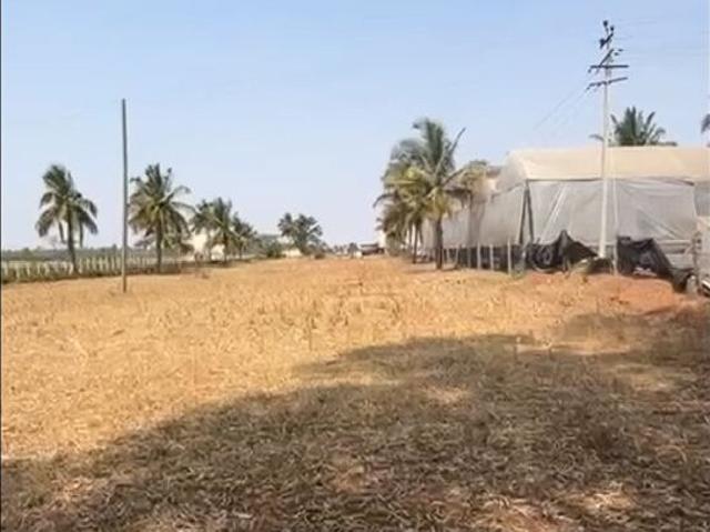 Devanahalli, North Bangalore 2 Acre Plot in Devanahalli Bangalore Listing ID: #10276