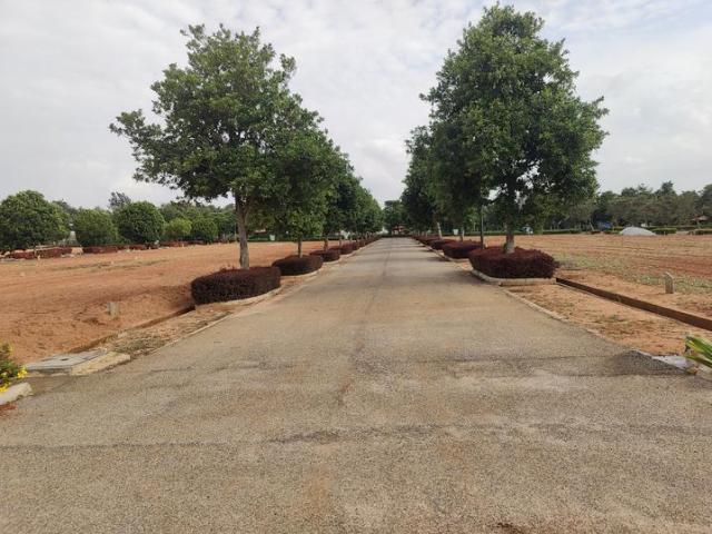 Devanahalli Residential Plot For Sale Bengaluru