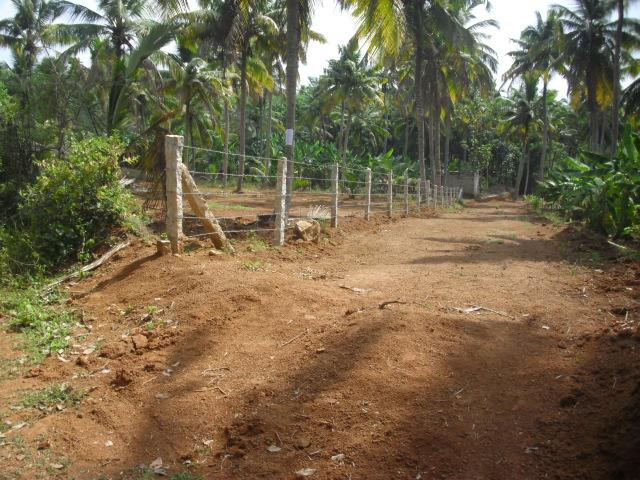 Developed Land in Kanyakumari, Tamil Nadu, Ref# 2562391