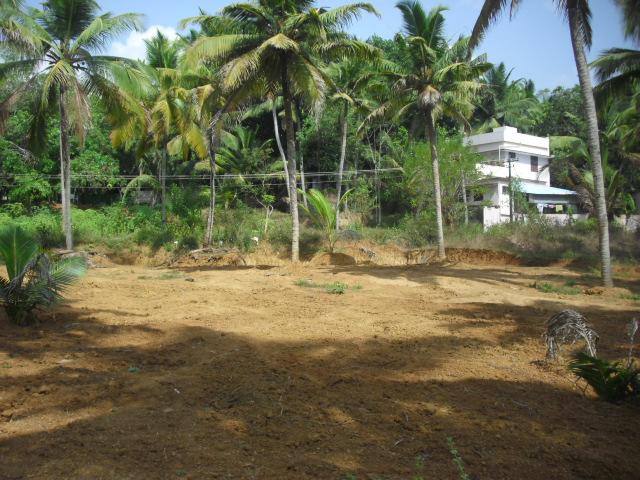 Developed Land in Kanyakumari, Tamil Nadu, Ref# 3797705