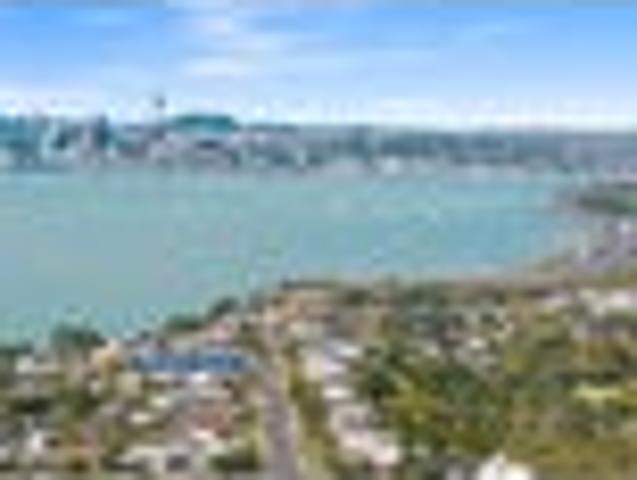 Developer Needs to Offload MUST SELL!
