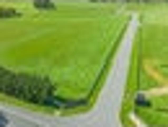 Developer wants action!