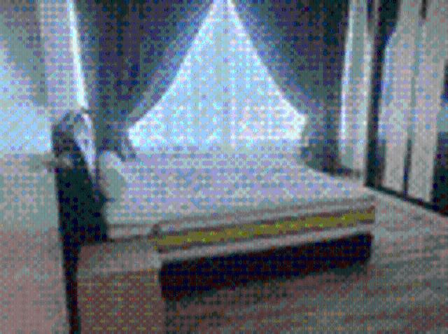 D'festivo Residence