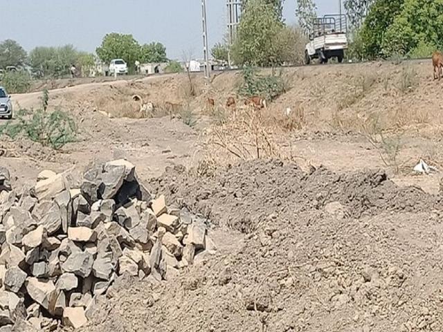 Dholera, Ahmedabad South 995 Sq.Ft. Plot in Dholera Ahmedabad Listing ID: #10051