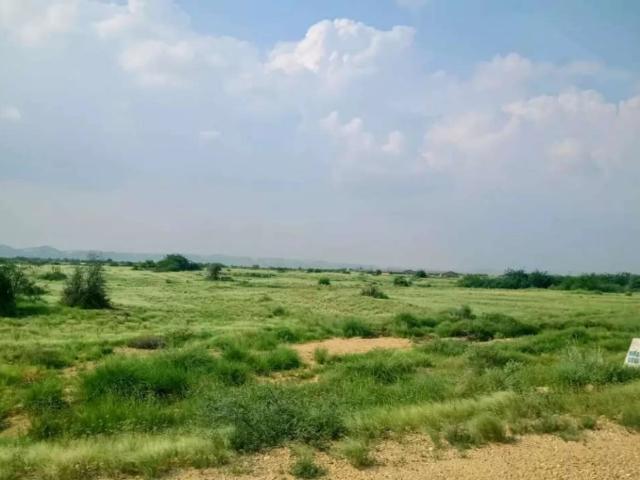 DHA City Karachi Sector 12D 500 Yards Karachi DHA City Karachi ID 31587