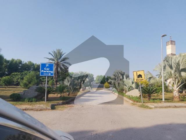 DHA Beautiful 5 Marla Ideal Location Houses For Sale DHA Allotment Profitable Investment DHA Homes