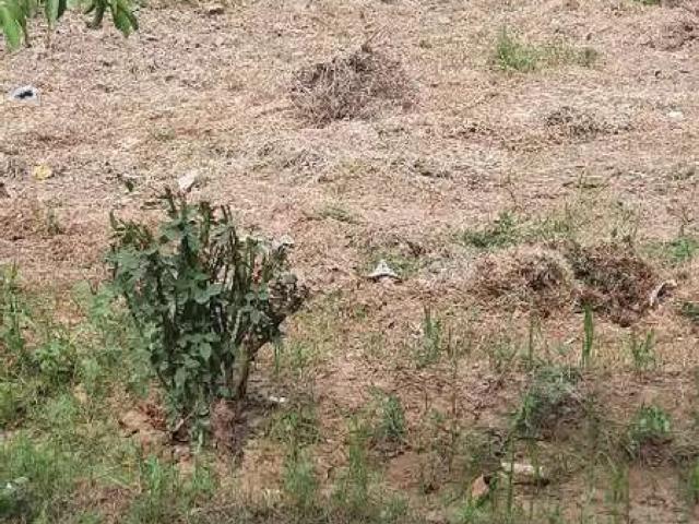 Dha phase 5 hot location kanal plot for sale ready to construction Lahore DHA Phase 5 ID 24397