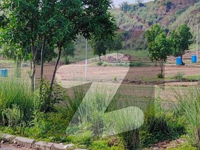 DHA Valley Islamabad Sector Daffodils Plot File For Sale