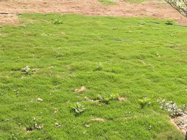 Dhanori, Pune East 1000 Sq.Ft. Plot in Dhanori Pune Listing ID: #10293