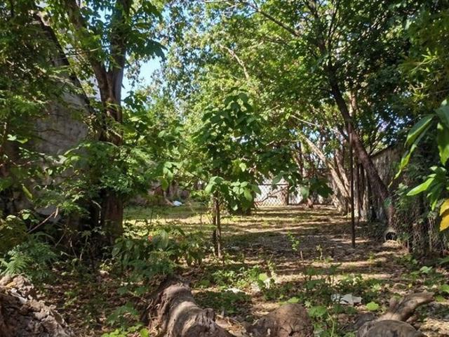 Dharampur Nehru Colony, Dehradun Center 4600 Sq. Ft. Plot in Dharampur Nehru Colony Dehradun Listing ID: #10296
