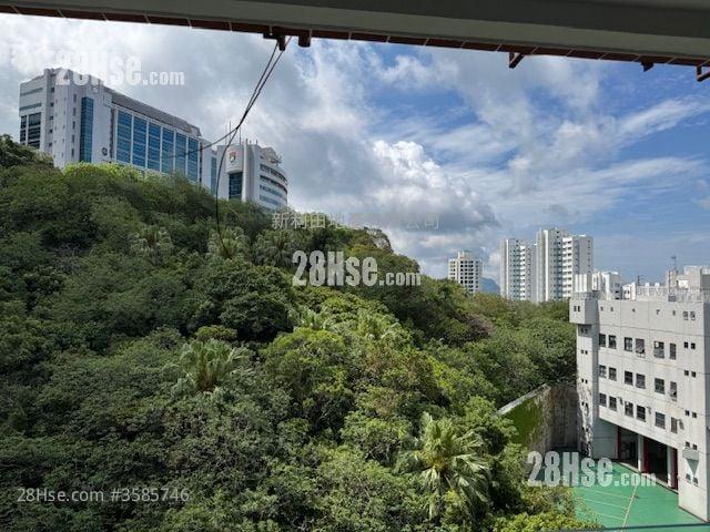 帝柏園 #3585 租盤樓盤詳細資料