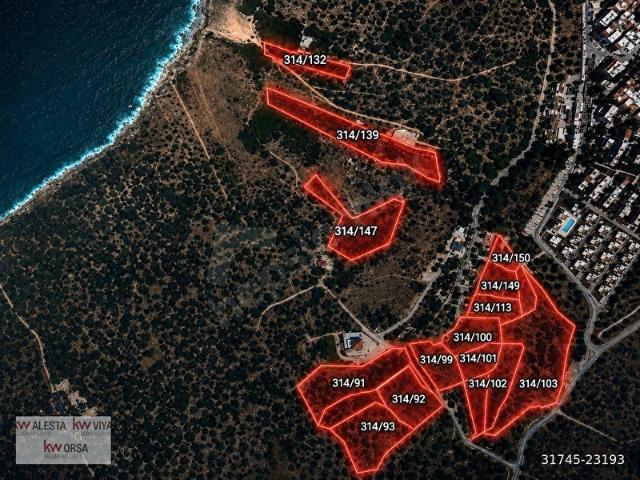 DİKİLİ BADEMLİ'DE 35.568 M KOMPLE SATILIK ARAZİ FIRSATI