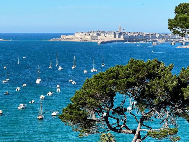 Dinard Vente Appartement 35