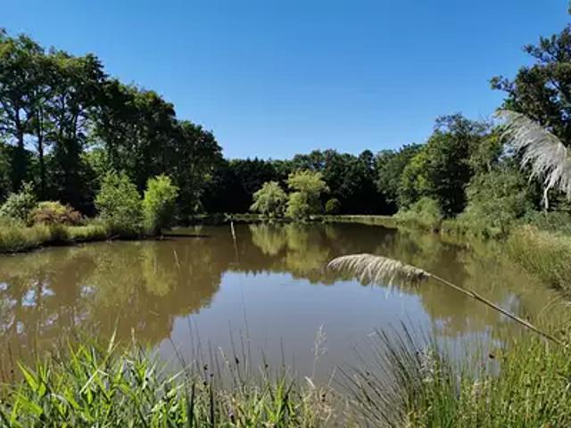 Dingé 35440 Achat / Vente terrain