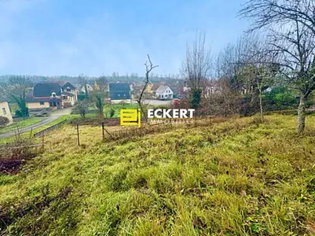 Dinsheim sur Bruche 67190 Achat / Vente terrain