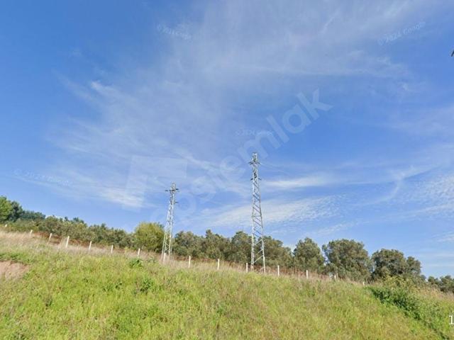 DIALOG DAĞ BURSA GEMLİK ENGÜRÜCÜK 449 m2 SATILIK ZEYTİNLİK