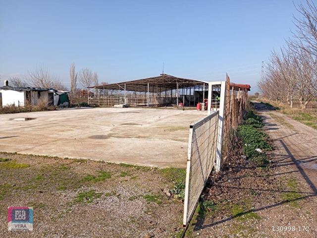 dialog vera san gayrimenkul'den satılık besi çiftliği bergama dündarlı mahallesi