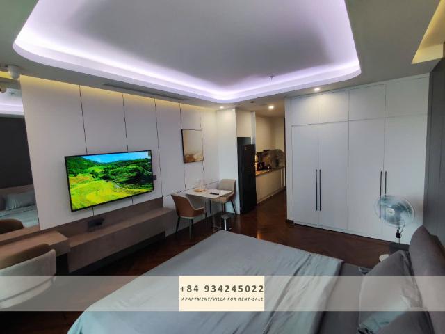 Diamond Crown Haiphong apartment for rent