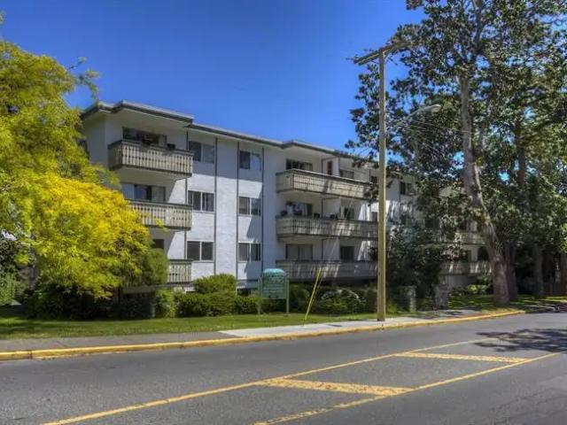 Diamond Head Apartments