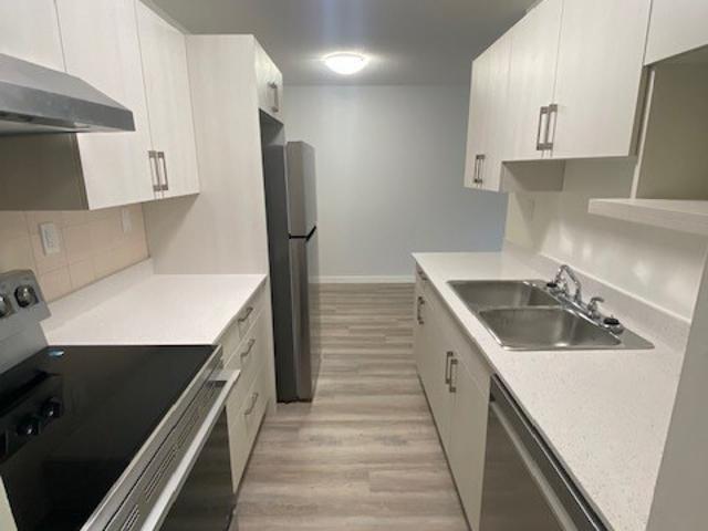 Diamond Head Apartments 1 Bedroom Apartment for Rent