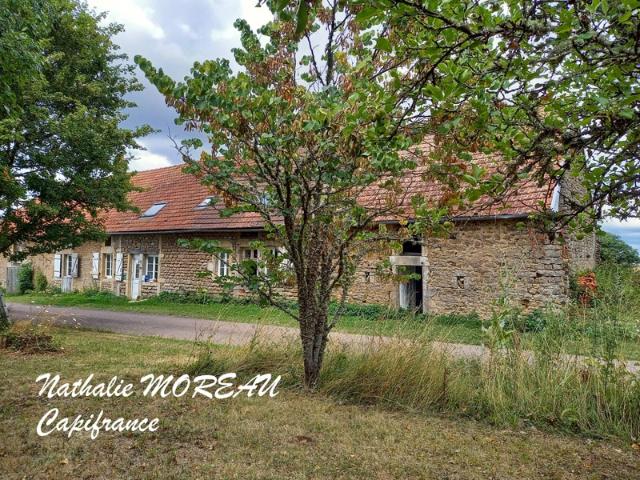 Diancey Vente Ferme 21