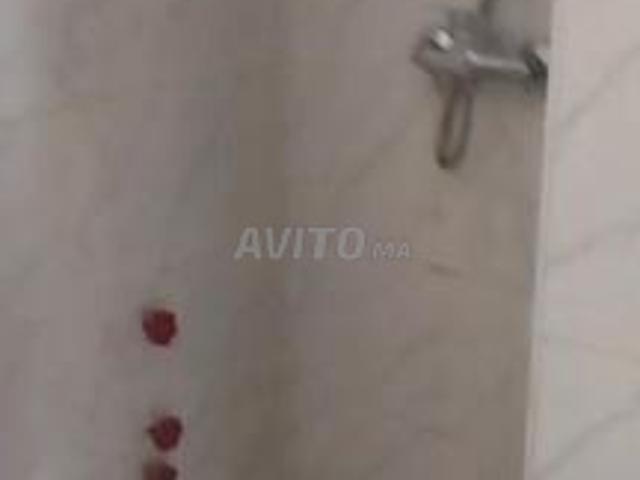 Diar Alalia près de Hamamat Alalia 2