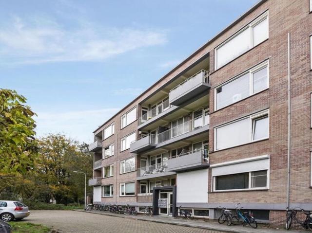 Dichtbij Universiteit