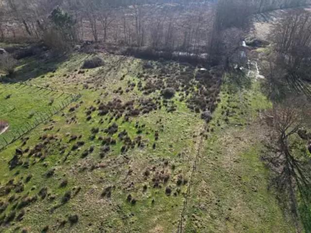 Diconne 71330 Achat / Vente terrain