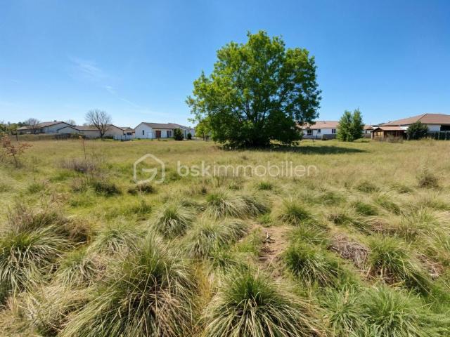 Dieupentale Vente Terrain 82