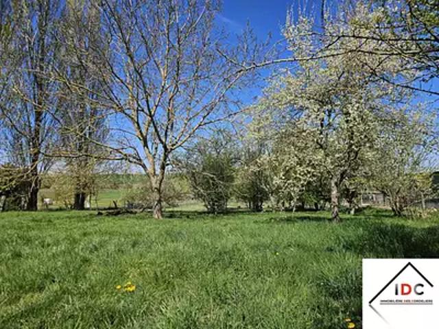 Dieuze 57260 Achat / Vente terrain