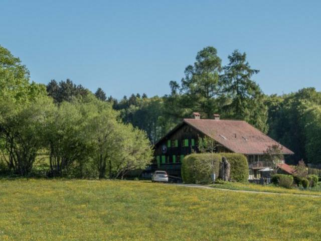 Die Landschaft nur wenige Minuten von der Stadt entfernt