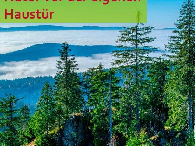 Die Steinzeit ist vorbei! Energieeffizient Bauen