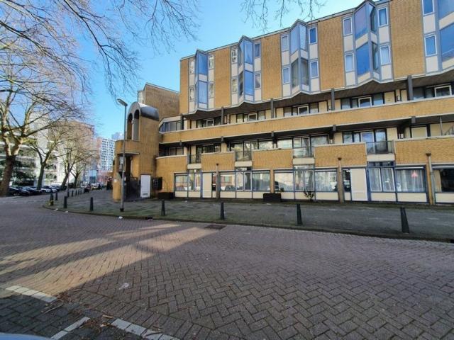 Diergaardesingel 6