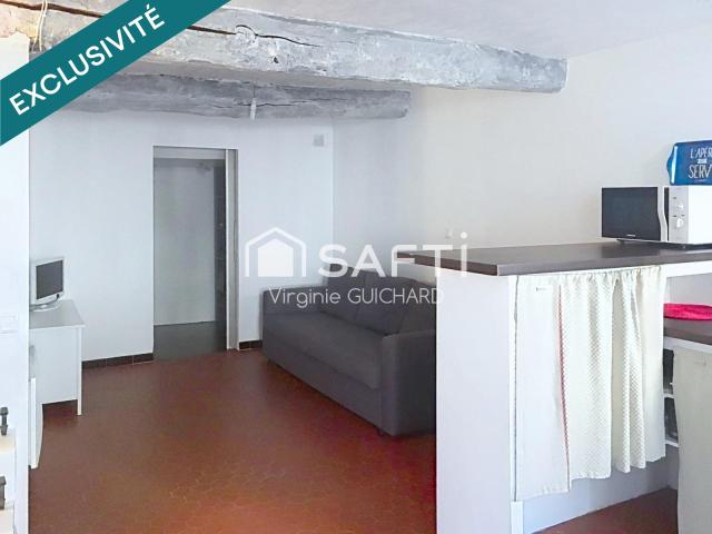 Digne les Bains Vente Appartement 04