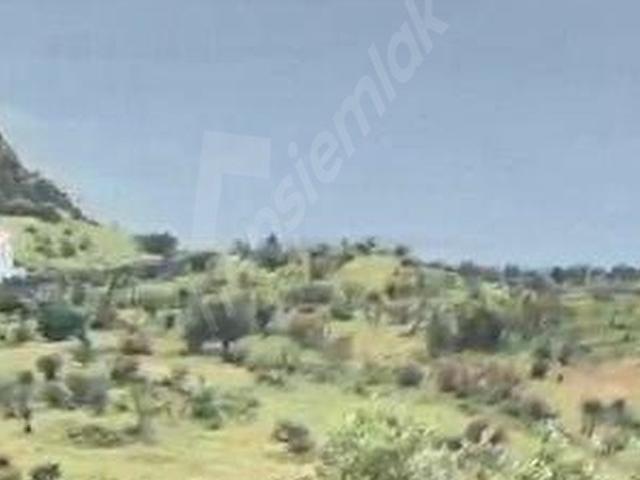 Dikili Çandarlı'da Panaromik Deniz Manzaralı 346m2 Satılık Arsa